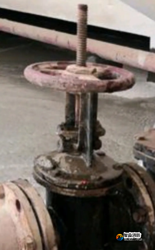 1773638975155181.png image.png